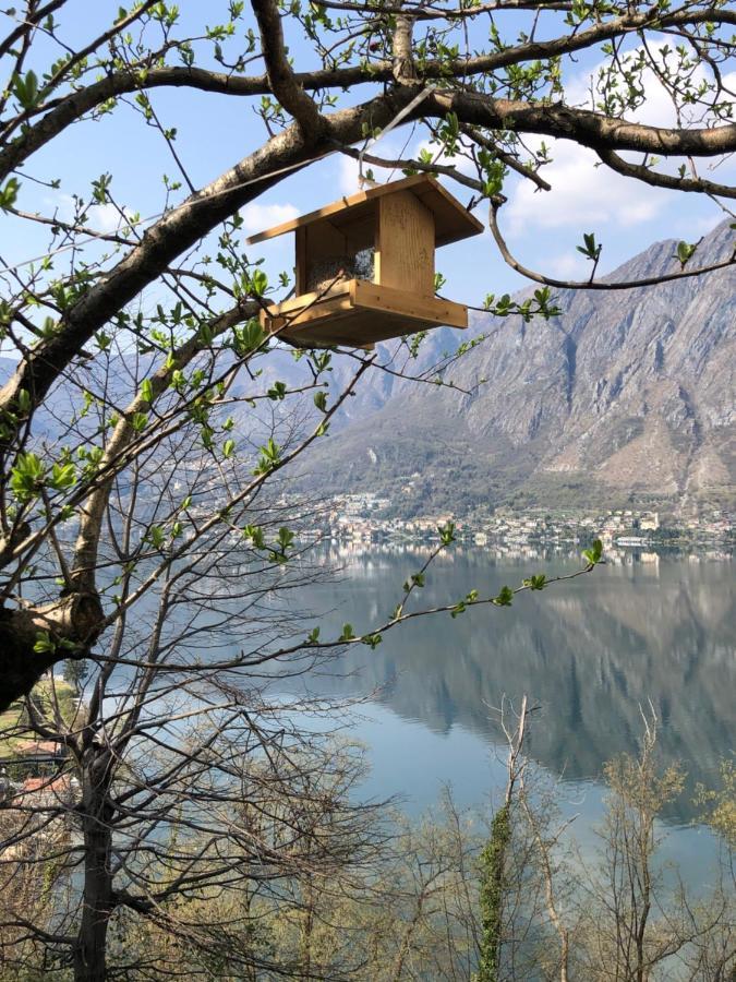 Milly Lake Claino Dış mekan fotoğraf